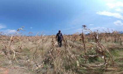 MAIZ VR VR Video MAIZ VR VR