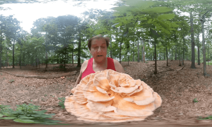 Montgomery College 360 - Chicken of the Woods VR Video Montgomery College 360 - Chicken of the Woods VR