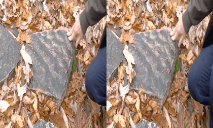 Montgomery College 360 -  "Ripples on the Mountain" - Field Trip to Sugarloaf Mountain - Dennis Coskren VR Video Montgomery College 360 -  "Ripples on the Mountain" - Field Trip to Sugarloaf Mountain - Dennis Coskren VR