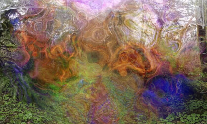 ASMR Rain on a forest path ASMR Rain on a forest path