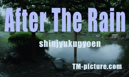 After The Rain