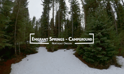 360° Invisible Drone | Blue Mountains - In the trees 360° Invisible Drone | Blue Mountains - In the trees