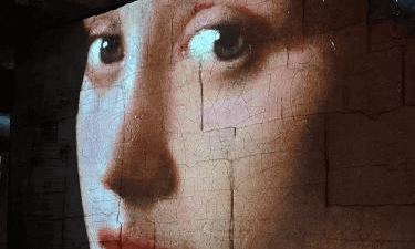 wermeer painter! wermeer painter!