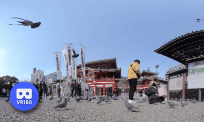 In Japan, the dove is a symbol of peace VR Video In Japan, the dove is a symbol of peace VR