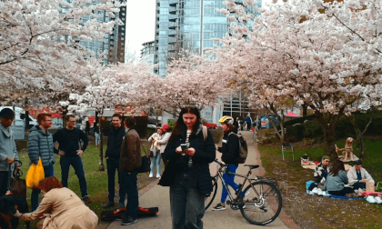 360 VR Cherry Blossoms - aka - Sakura Event At David Lam Park Mar 30 2024 VR Video 360 VR Cherry Blossoms - aka - Sakura Event At David Lam Park Mar 30 2024 VR