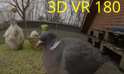 Taube Elfriedas Osterfrühstück VR Video Taube Elfriedas Osterfrühstück VR