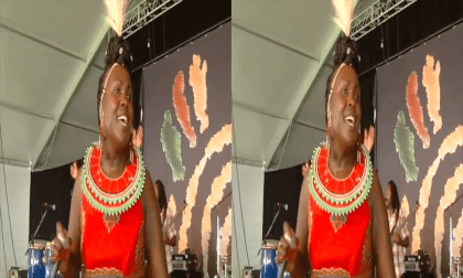 Montgomery College - 3D Smithsonian Folklife Festival 2014 Montgomery College - 3D Smithsonian Folklife Festival 2014