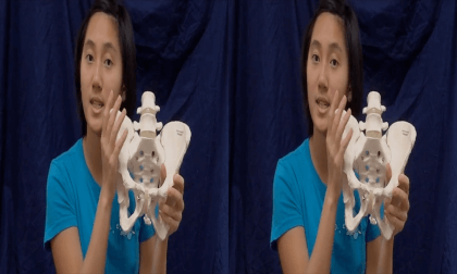 3D Montgomery College, Chemical and Biological Sciences - Bones of the Pelvis