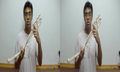3D Montgomery College, Chemical and Biological Sciences - Bones - The Arm 3D Montgomery College, Chemical and Biological Sciences - Bones - The Arm