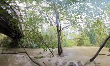 River in flood VR Video River in flood VR