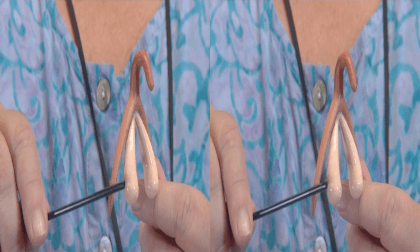 3D Montgomery College - Loraine Hutchins HLTH 200 - The Clitoris 3D Montgomery College - Loraine Hutchins HLTH 200 - The Clitoris