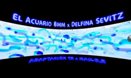 El Acuario (8mm) Delfina Sevitz x Mailor