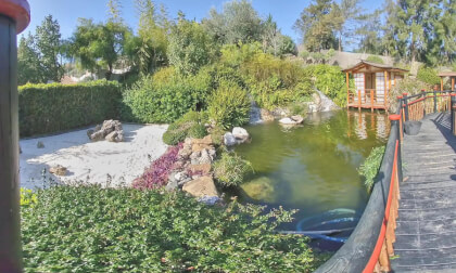 Jardin Botanico Molino de Inca Jardin Botanico Molino de Inca