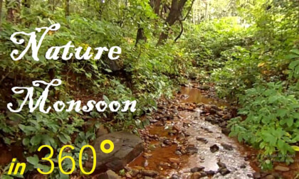 Water Flow in Forest Guhagar, Ratnagiri, Maharashtra, India VR Video Water Flow in Forest Guhagar, Ratnagiri, Maharashtra, India VR