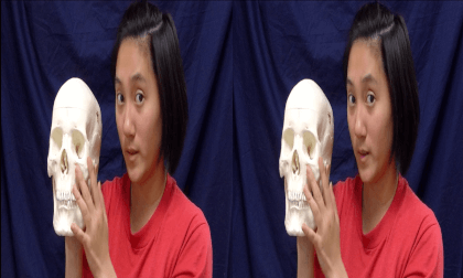 3D Montgomery College, Chemical and Biological Sciences -  Bones of the Face VR Video 3D Montgomery College, Chemical and Biological Sciences -  Bones of the Face VR