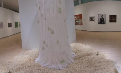 VID_20240331_114509_00_002 VR Video VID_20240331_114509_00_002 VR