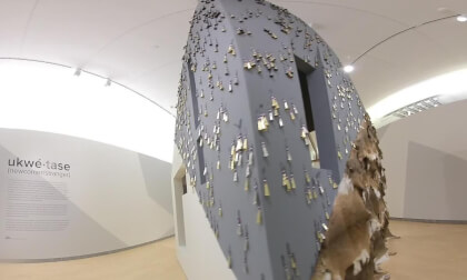 VID_20240331_114149_00_001 VR Video VID_20240331_114149_00_001 VR