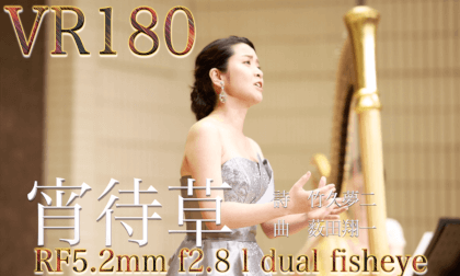 YOIMACHIGUSA YOIMACHIGUSA