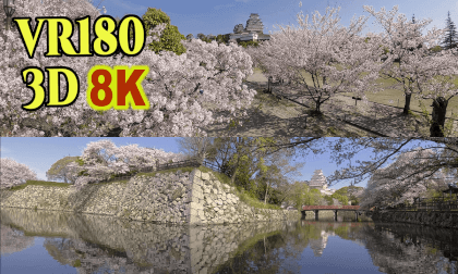 Himeji Castle surrounded by cherry blossoms in Hyogo,Japan VR Video Himeji Castle surrounded by cherry blossoms in Hyogo,Japan VR