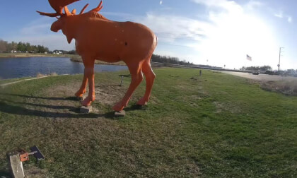 VID_20240413_174625_00_007 VR Video VID_20240413_174625_00_007 VR