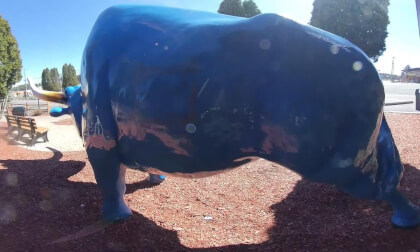 VID_20240406_144316_00_075 VR Video VID_20240406_144316_00_075 VR