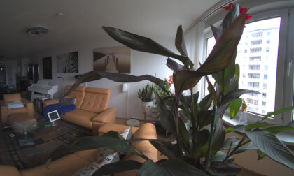 CALF My Apartment VR Video CALF My Apartment VR