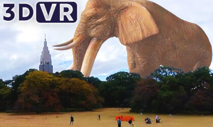 [VR180 3D] Giant elephant | VR VIDEO