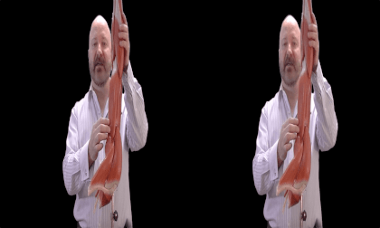3D Montgomery College Chemical and Biological Sciences - Arm and Forearm Muscles 3D Montgomery College Chemical and Biological Sciences - Arm and Forearm Muscles