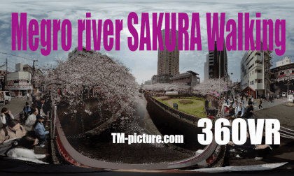 SAKURA MegroRiver Walking Hispeed SAKURA MegroRiver Walking Hispeed