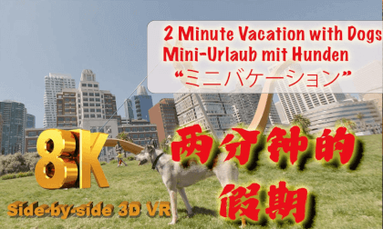 2 Minutes Vacation with Dogs 两分钟的假期 “ミニバケーション” Mini-Urlaub mit Hunden 2 Minutes Vacation with Dogs 两分钟的假期 “ミニバケーション” Mini-Urlaub mit Hunden