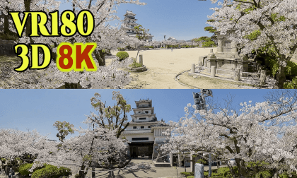 Imabari Castle surrounded by cherry blossoms in Ehime,Japan VR Video Imabari Castle surrounded by cherry blossoms in Ehime,Japan VR
