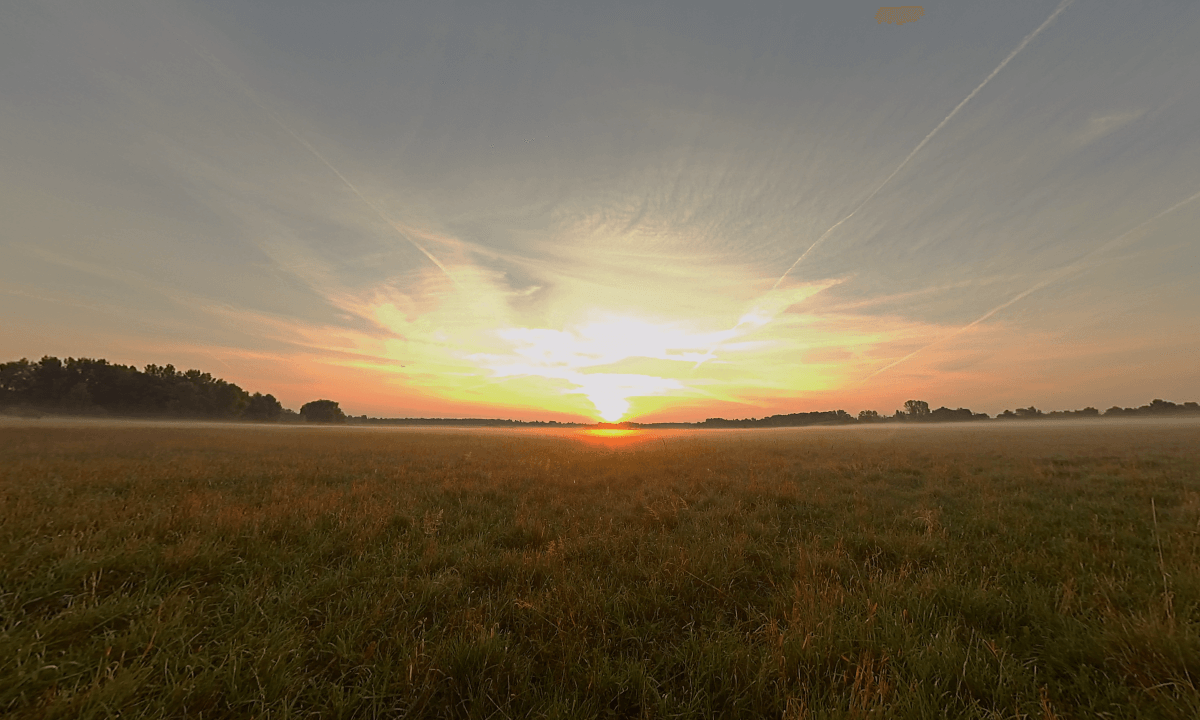 Sunrise by Rangsdorf Nature Reserve, Germany, Trailer, 8k, 360°