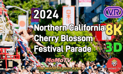 Northern California Cherry Blossom Festival 桜祭り - カリフォルニア州サンフランシスコ日本人街 8K 3D VR Northern California Cherry Blossom Festival 桜祭り - カリフォルニア州サンフランシスコ日本人街 8K 3D VR