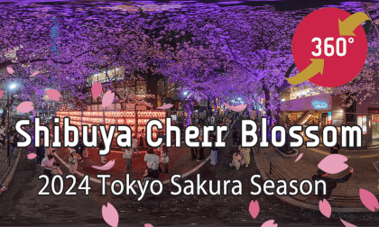 Shibuya’s Cherry Blossom Spots 2024 - Tokyo Japan Trip【渋谷の桜のお花見スポット 2024】