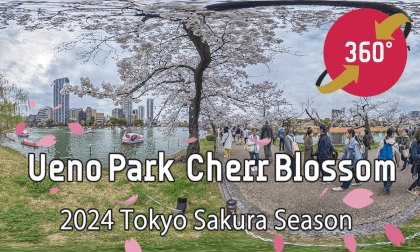 Ueno Park’s Cherry Blossom Spots 2024 - Tokyo Japan Trip【上野公園の桜のお花見スポット 2024】