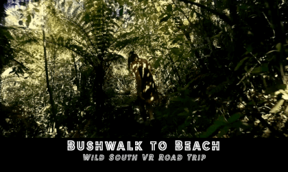 Bushwalk To Beach Bushwalk To Beach