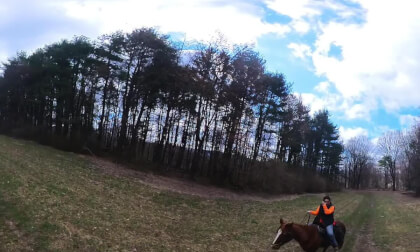 Horseback Riding 2024_03_16_1 (360) VR Video Horseback Riding 2024_03_16_1 (360) VR