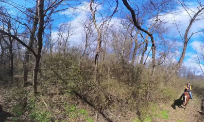 Horseback Riding 2024_03_16_3 (360) VR Video Horseback Riding 2024_03_16_3 (360) VR