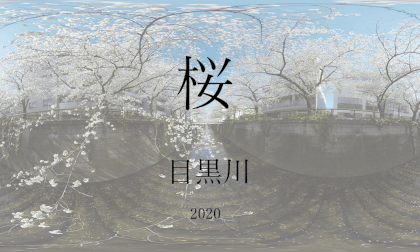 2020_sakura_Flying slow