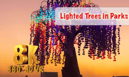 Illuminated Forest: Modern Art & Story Telling in Different Languages in 360° 8K 3D Illuminated Forest: Modern Art & Story Telling in Different Languages in 360° 8K 3D
