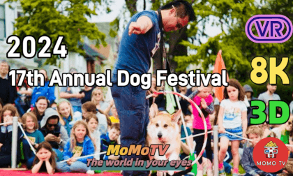Dog Show@San Francisco Duboce Park "犬の競争" 17届小狗选美赛  Hundewettbewerb - Best costumes, best ears, best coat and best Mutt Dog in 8K 3D Dog Show@San Francisco Duboce Park "犬の競争" 17届小狗选美赛  Hundewettbewerb - Best costumes, best ears, best coat and best Mutt Dog in 8K 3D