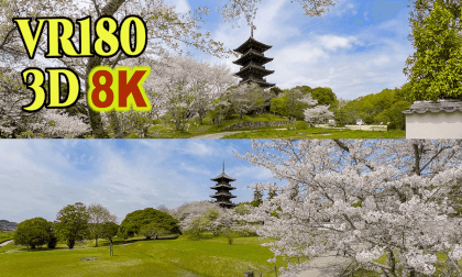 Spring scenery at Bitchukokubunji Temple in Soja City,Okayama,Japan VR Video Spring scenery at Bitchukokubunji Temple in Soja City,Okayama,Japan VR