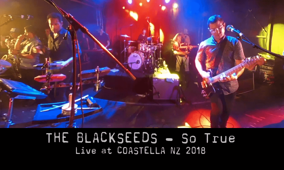 THE BLACK SEEDS - So True