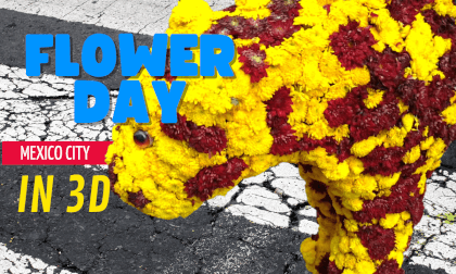 Flower Day in Mexico City VR Video Flower Day in Mexico City VR