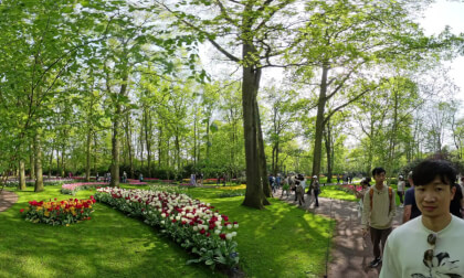keukenhof VR Video keukenhof VR