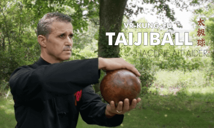 VR-Kung-Fu - Learn Taijiball With Hacene [French, Eng sub]