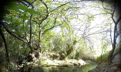 Rio Majaceite Cadiz España