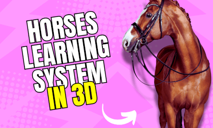 Natural Horse Learning System VR Video Natural Horse Learning System VR