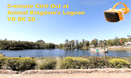 Disney in VR : 5-min relax at Animal Kingdom's Discovery Lagoon VR Video Disney in VR : 5-min relax at Animal Kingdom's Discovery Lagoon VR