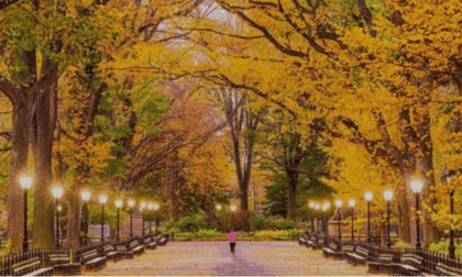 New York Central Park Part Three